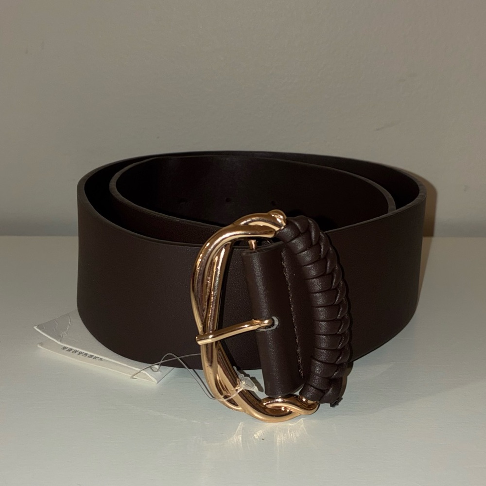 Zara Brown Belt with Goldโ Hardware NWT